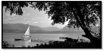 Lake Quinault Pic